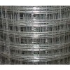Строительная сетка Сетка сварная оцинкованная 19x19 0.8мм 1x10м